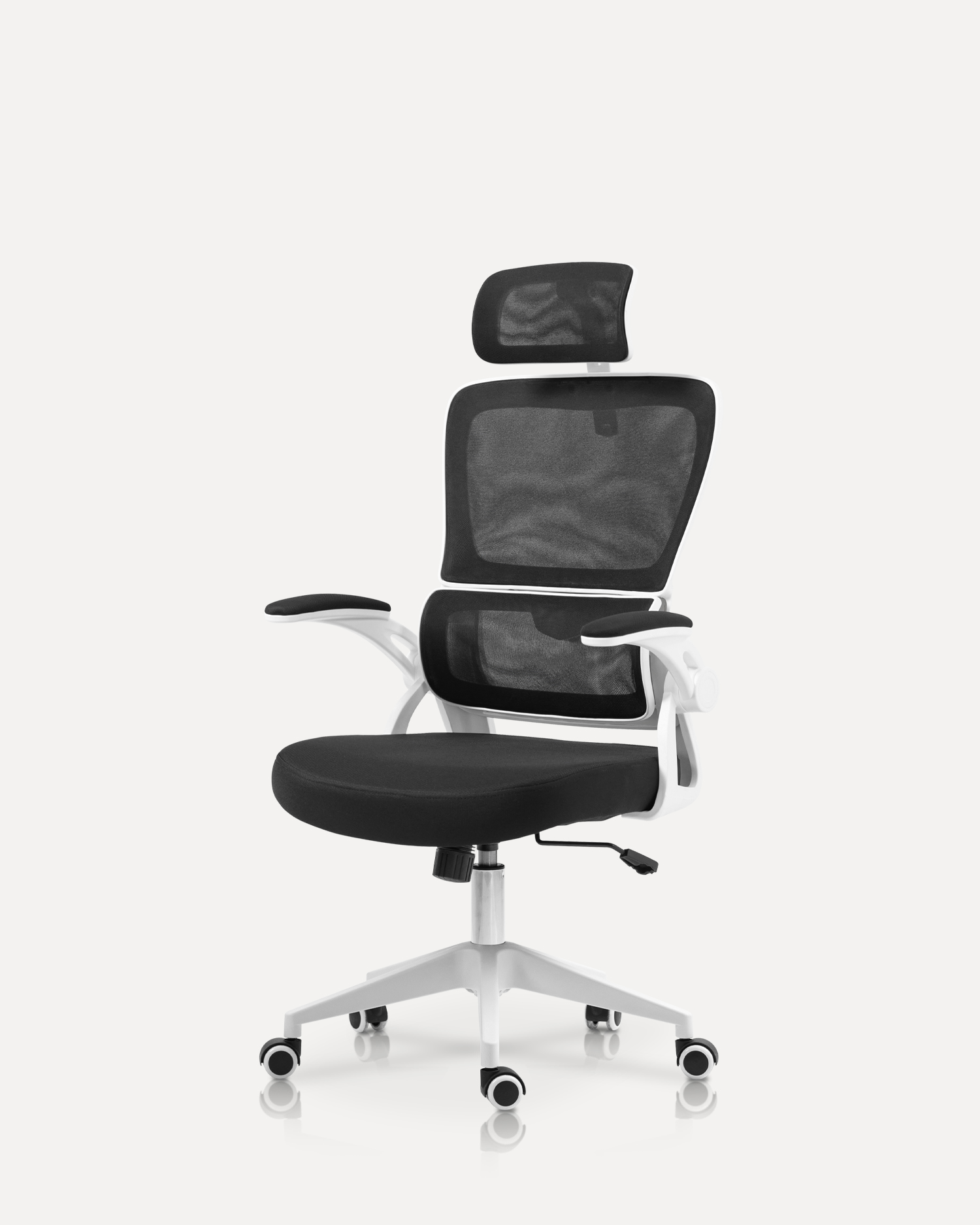 Ketua Konferensi Dukungan Lumbar Ganda